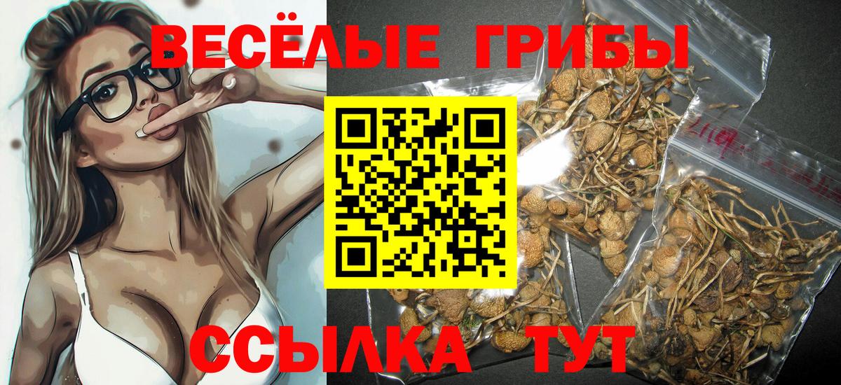 Беслан  закладка  Вход с VPN  Галлюциногенные грибы мицелий 